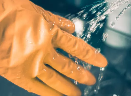 cleaning